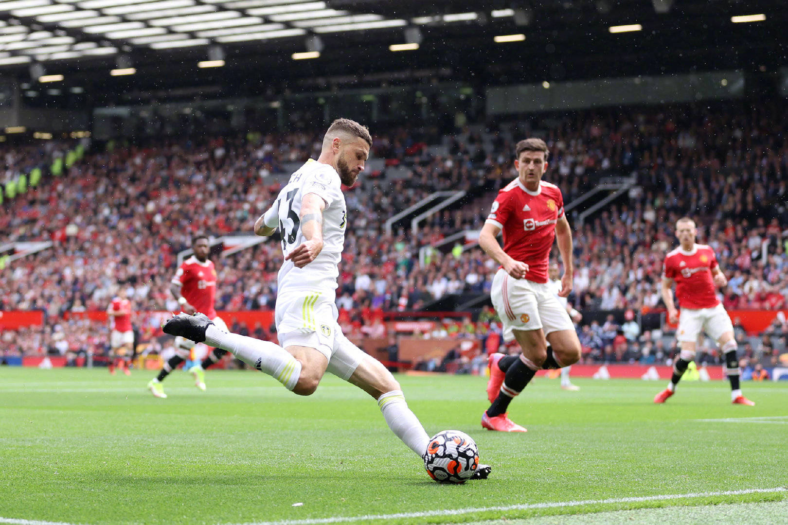 养方面的战 养方面的战